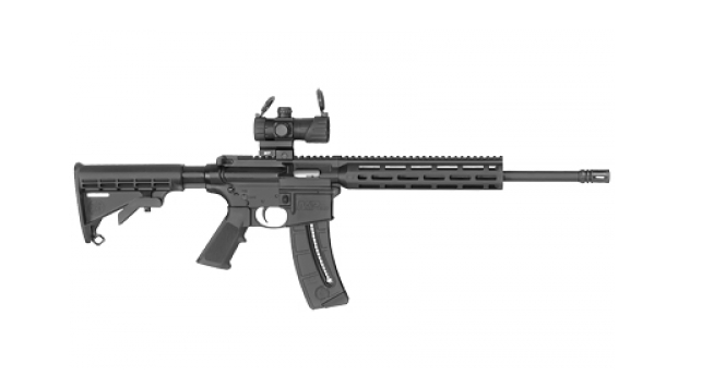 buy Smith & Wesson M&P15-22 .22 LR 16 25RD Black online