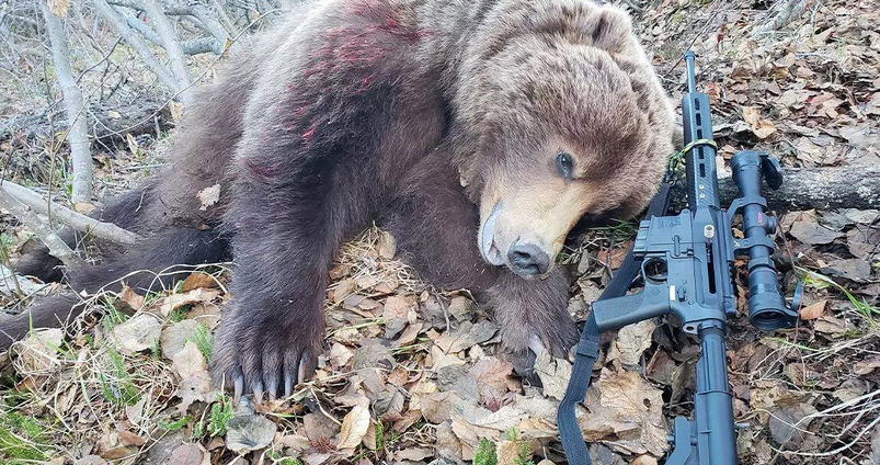 Hunting Big Game With A .223: Yes, It Can Be Done!